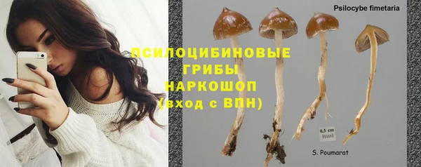 эйфоретик Абаза