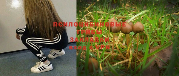 MDMA Premium VHQ Алзамай