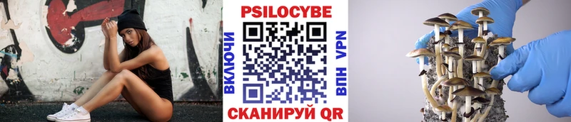 мориарти телеграм  Темрюк  Галлюциногенные грибы GOLDEN TEACHER  купить  