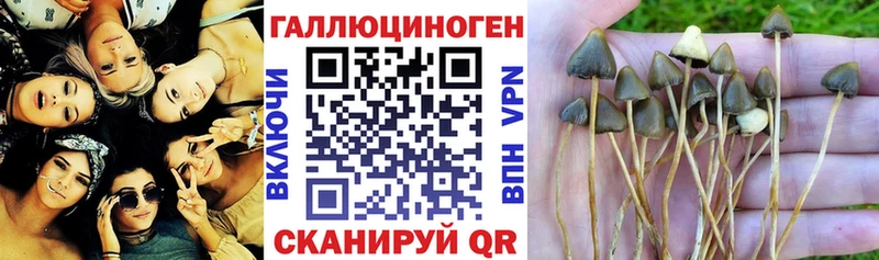 Галлюциногенные грибы прущие грибы Темрюк
